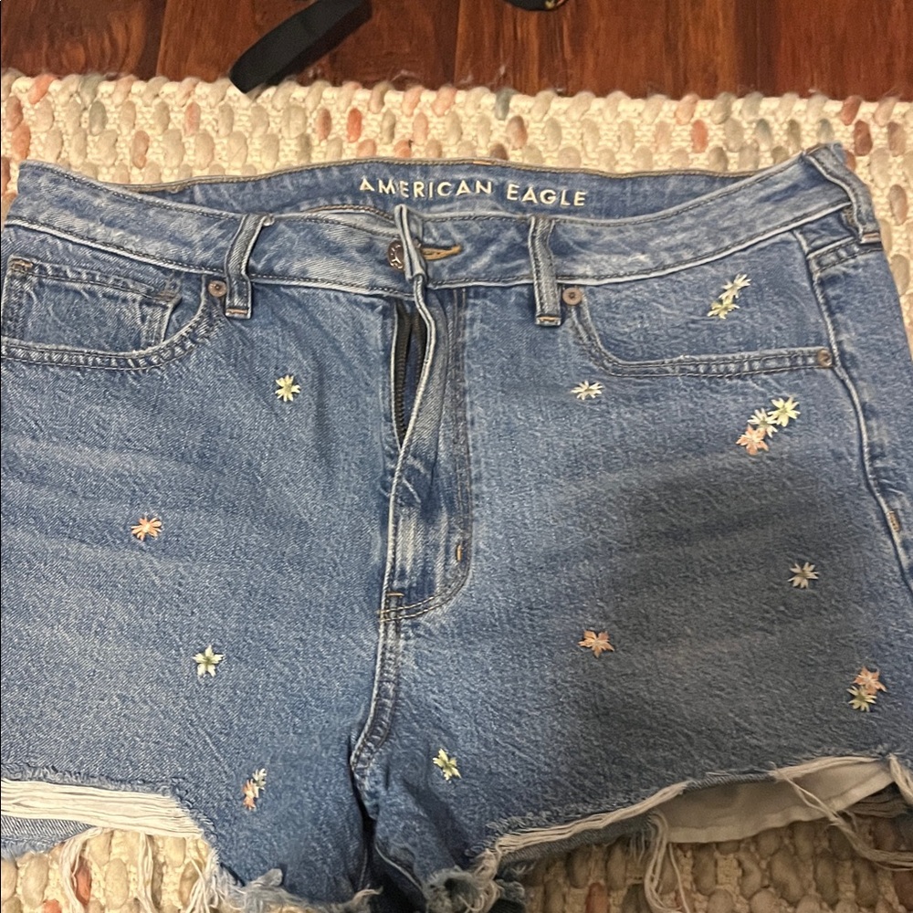 American Eagle Outfitters Floral Embroidered Jean Shorts